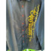 MENS NWOT MEDIUM? CHEST 40 BLACK & GOLD W/RED LONG SLEEVE BUTTON FRONT SHIRT